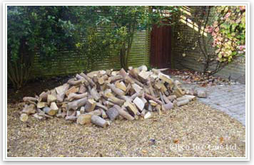 Firewood Example