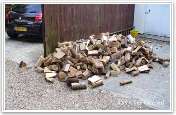 Firewood Example