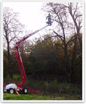 Jobs in Tree Surgery - Arb Careers