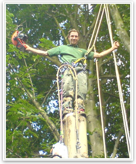 Jobs in Tree Surgery - Arb Careers