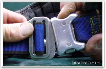 Tree Surgery Equipment - LOLER harness  clip Inspection