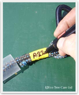 Tree Surgery Equipment - LOLER  Equipment marking