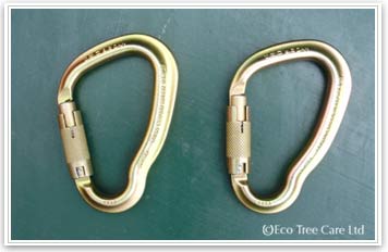 Tree Surgery Equipment - LOLER rigging karabiner Inspection