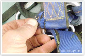 Tree Surgery Equipment - LOLER harness  Inspection