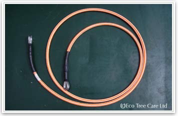 Tree Surgery Equipment - LOLER wire strop Inspection