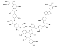 Firewood Lignin