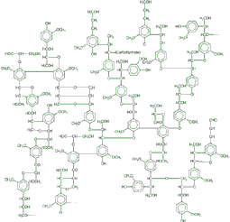 Firewood Lignin