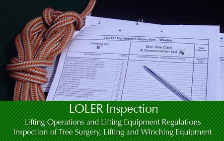 Tree Surgery Equipment - LOLER  Inspection